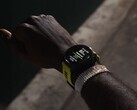 Garmin udostępnił wersję beta 19.13 dla smartwatchów Forerunner. (Źródło obrazu: Garmin)