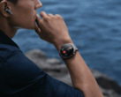 Huawei udostępnił oprogramowanie w wersji 4.0.0.219 dla Watch 4 Pro. (Źródło obrazu: Huawei)