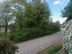 Zdjęcie zrobione główną kamerą