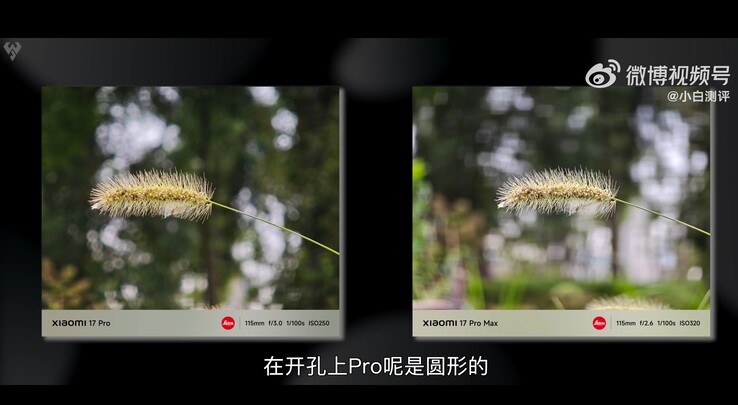 Xiaomi 17 Pro vs Xiaomi 17 Pro Max: porównanie zdjęć makro wykonanych z 5-krotnym teleobiektywem