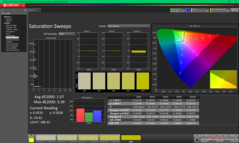 Nasycenie przed kalibracją (sRGB)