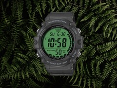 Zegarki Casio Standard AE-1500 (na zdjęciu) pojawiły się w David et Philly. (Źródło zdjęcia: David et Philly, edytowane)