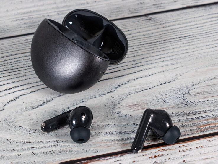 (Źródło zdjęcia: Daniel Schmidt)