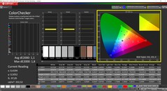 CalMAN ColorChecker (profil sRGB, docelowa przestrzeń barw sRGB)