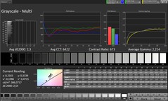 Skala szarości CalMAN