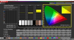 CalMAN ColorChecker (profil: Natywny, docelowa przestrzeń kolorów: P3)