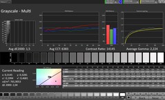 Skala szarości (profil: Profesjonalny, docelowa przestrzeń kolorów: sRGB)
