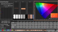 CalMAN: ColorChecker (skalibrowany)