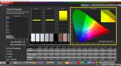 CalMAN ColorChecker (docelowa przestrzeń kolorów: P3)