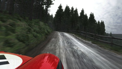 Dirt Rally