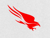 Platforma CrowdStrike Falcon (źródło obrazu: CrowdStrike)
