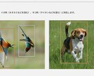 Te dwa zdjęcia, między innymi na stronie produktu Lumix S9, zapoczątkowały kontrowersje (źródło zdjęcia: Panasonic)