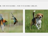 Te dwa zdjęcia, między innymi na stronie produktu Lumix S9, zapoczątkowały kontrowersje (źródło zdjęcia: Panasonic)