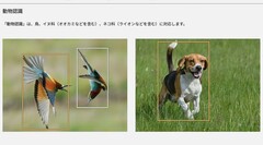 Te dwa zdjęcia, między innymi na stronie produktu Lumix S9, zapoczątkowały kontrowersje (źródło zdjęcia: Panasonic)