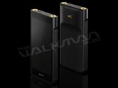 Sony podobno planuje wprowadzić dwa nowe flagowe odtwarzacze muzyczne.