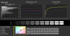 Calman ColorChecker: DCI-P3 - greyscale- kalibrowany