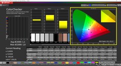 CalMAN Colorchecker (tryb: P3, docelowa przestrzeń kolorów: P3)