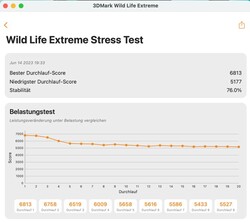 3DMark Wildlife Extreme Stress Test