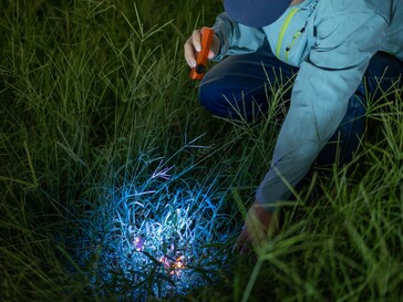 Lampa Olight ArkPro Ultra posiada światło UV służące do wykrywania plam organicznych.