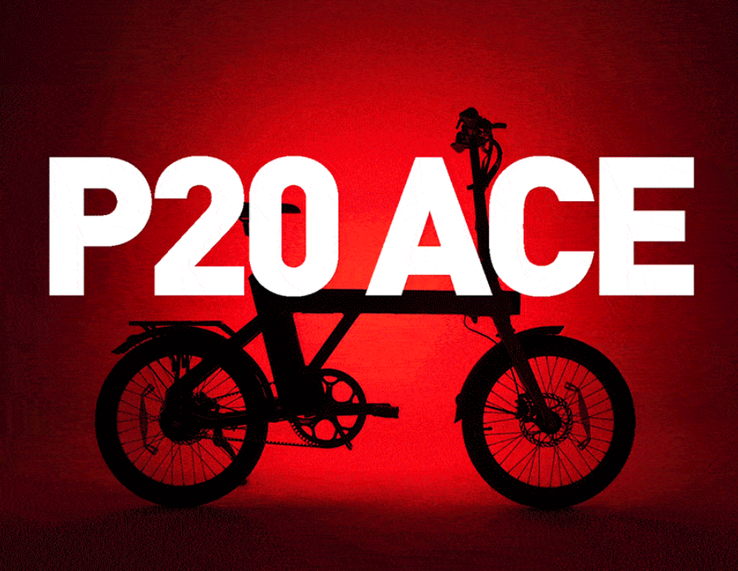 P20 ACE. (Źródło: ENGWE)