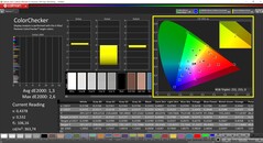 CalMAN ColorChecker (profil: P3, docelowa przestrzeń kolorów P3)