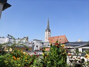Aparat główny