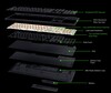 Struktura wewnętrzna BlackWidow V4 HyperSpeed TKL (źródło obrazu: Razer)