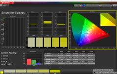 CalMAN Saturation Sweeps skalibrowany