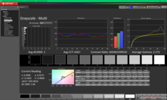 Skala szarości przed kalibracją