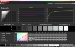 Skala szarości CalMAN