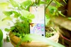 Realme 14 Pro+ 5G w recenzji