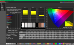 ColorChecker przed kalibracją (P3)