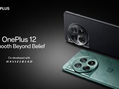 OnePlus 12. (Źródło zdjęcia: OnePlus)