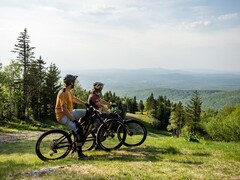 Rower elektryczny Devinci E-Troy Bosch ma silnik o momencie obrotowym 85 Nm. (Źródło zdjęcia: Devinci)