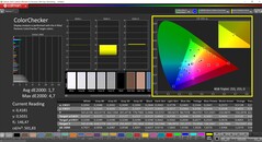 CalMAN ColorChecker (profil: sRGB, docelowa przestrzeń kolorów: sRGB)