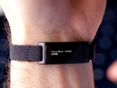Projekt „The Jaye Band” jest obecnie finansowany na platformie Kickstarter.