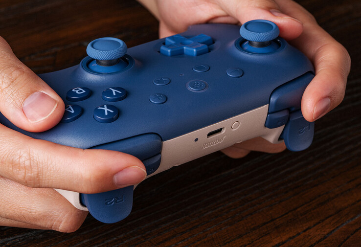 (Źródło obrazu: 8BitDo)