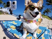 OpenAI wprowadza Sora, oferując fotorealistyczne generowanie tekstu do wideo (Źródło: OpenAI)