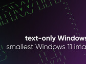 Deweloper Tiny11 redukuje system Windows 11 do jego minimalnej postaci (Źródło obrazu: NTDev)