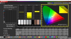 CalMAN ColorChecker (profil: domyślny, docelowa przestrzeń kolorów: P3)