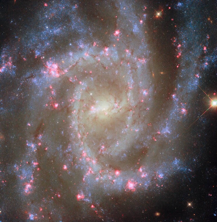 Obraz POTW NGC 2835 (źródło obrazu: ESA, NASA, R. Chandar, J. Lee i zespół PHANGS-HST)