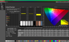 ColorChecker przed kalibracją (P3)