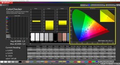 CalMAN ColorChecker (profil: natywny, docelowa przestrzeń barw P3)