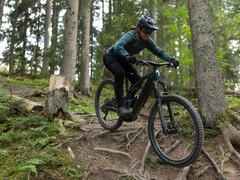 Decathlon Rockrider E-FEEL 900 S to e-rower typu all-mountain (źródło zdjęcia: Decathlon)