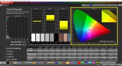 CalMAN ColorChecker (profil: P3, docelowa przestrzeń kolorów: P3)