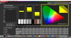 CalMAN ColorChecker (profil: natywny, docelowa przestrzeń kolorów: P3)