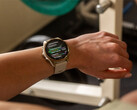 Fenix 8 jest jednym z kilku smartwatchy w kolejce do stabilnej aktualizacji v17.xx. (Źródło zdjęcia: Garmin)