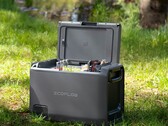 EcoFLow Glacier Classic to ładowalna przenośna lodówka, która może chłodzić i zamrażać napoje i żywność. (Źródło zdjęcia: EcoFlow)