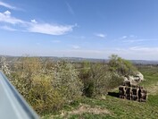 OnePlus 13 - 1x zoom (aparat główny)