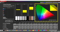 CalMAN ColorChecker (profil: domyślny, docelowa przestrzeń kolorów: P3)